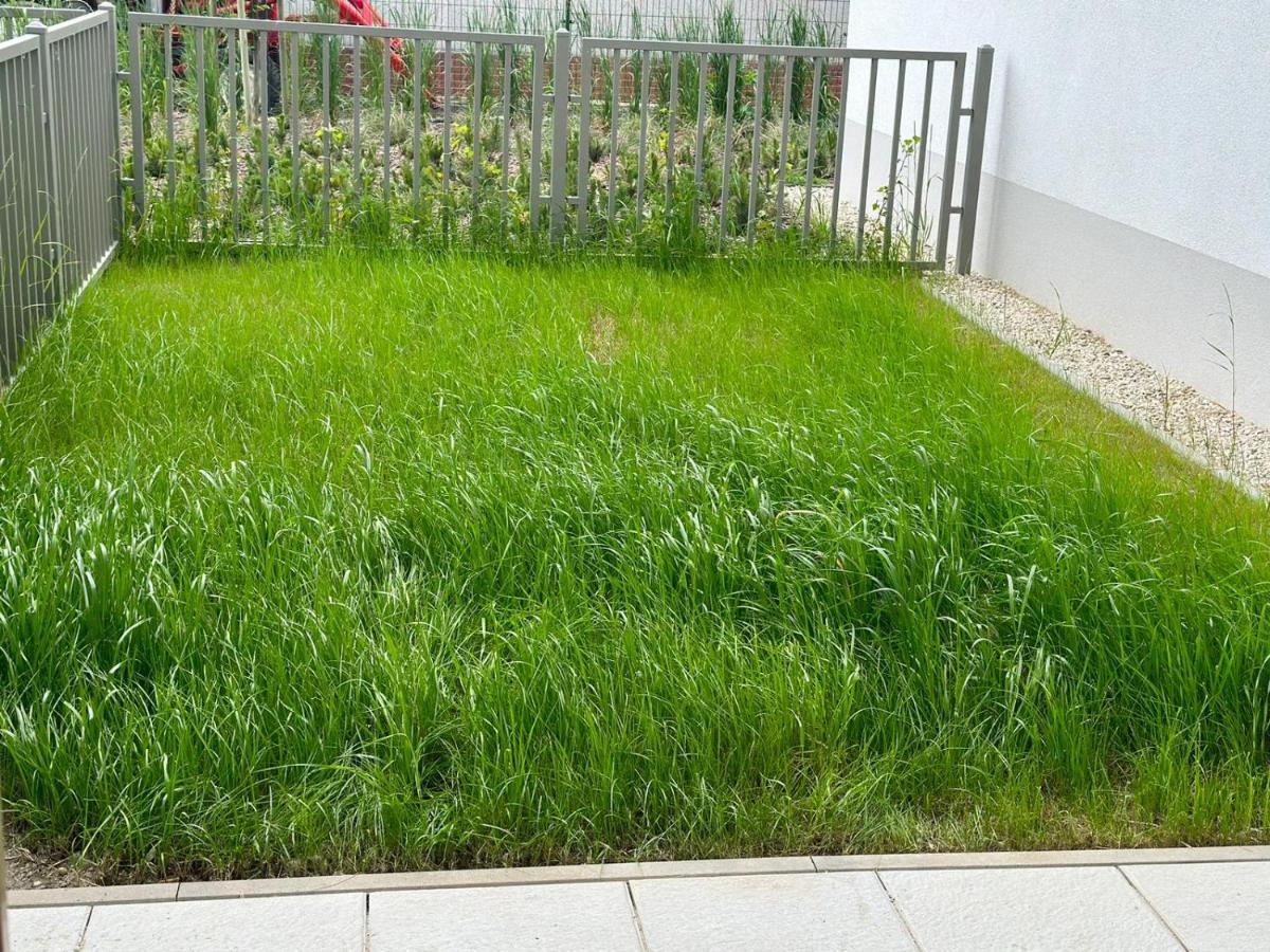 Apartament New With Excellent Communication. *